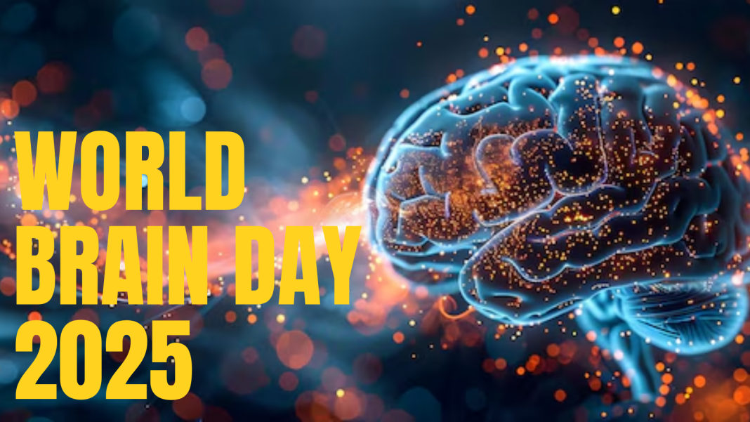 world brain day brain day