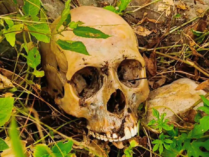 Jaipur Nahargarh skeleton, Nahargarh Hills skeleton, Jaipur crime news, skeleton found in gorge, Nahargarh wildlife, Jaipur mysterious skeleton, 100 feet deep gorge Jaipur, Rajasthan news today