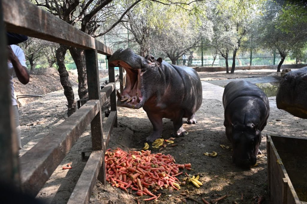 नाहरगढ़ जैविक उद्यान