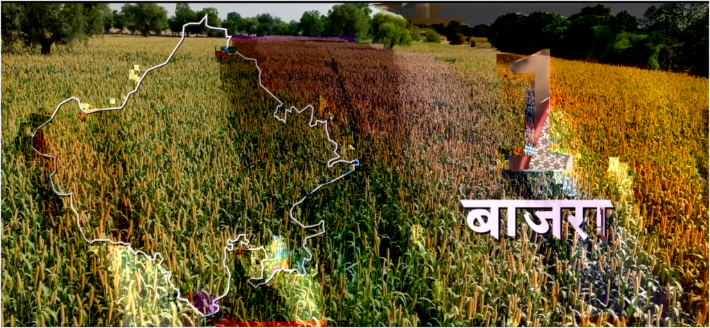 बेस्ट परफॉर्मिंग स्टेट राजस्थान